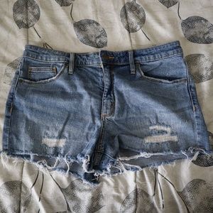 Distressed Denim Shorts